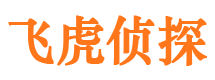 江津婚外情调查取证